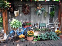 Lunch 14  Old timey stuff